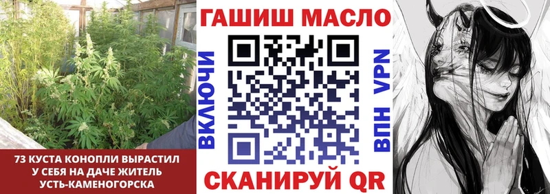 магазин  наркотиков  МЕГА зеркало  Дистиллят ТГК гашишное масло  Бокситогорск 