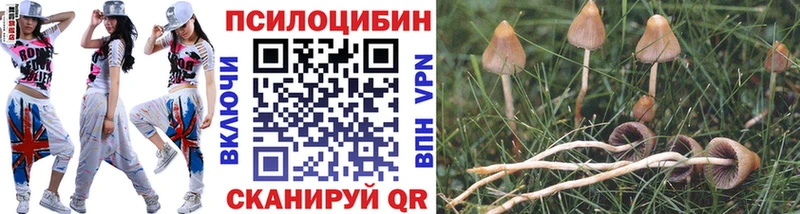 Псилоцибиновые грибы прущие грибы  цены   Бокситогорск 